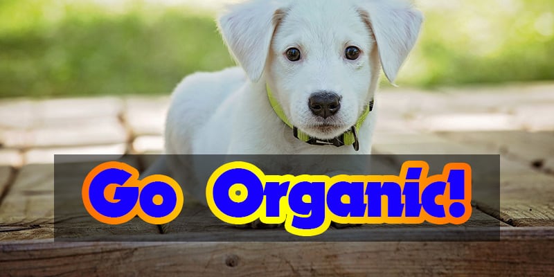 organic dog Food Today