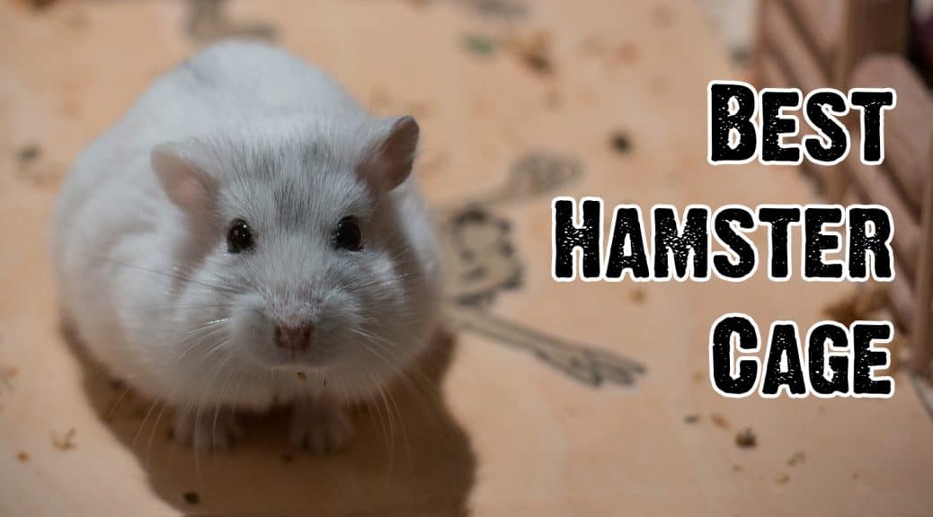 Best Hamster Cage