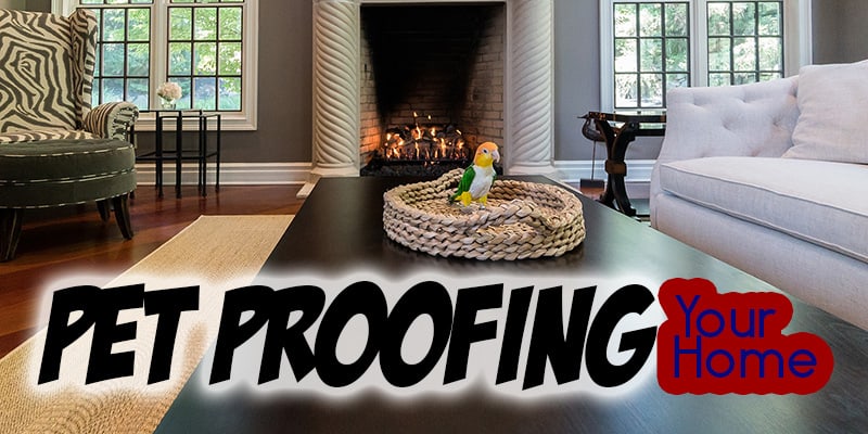 Pet Proofing Your Home