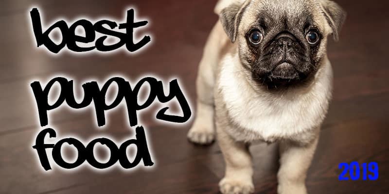 Best 5 Dog Food For Puppies
