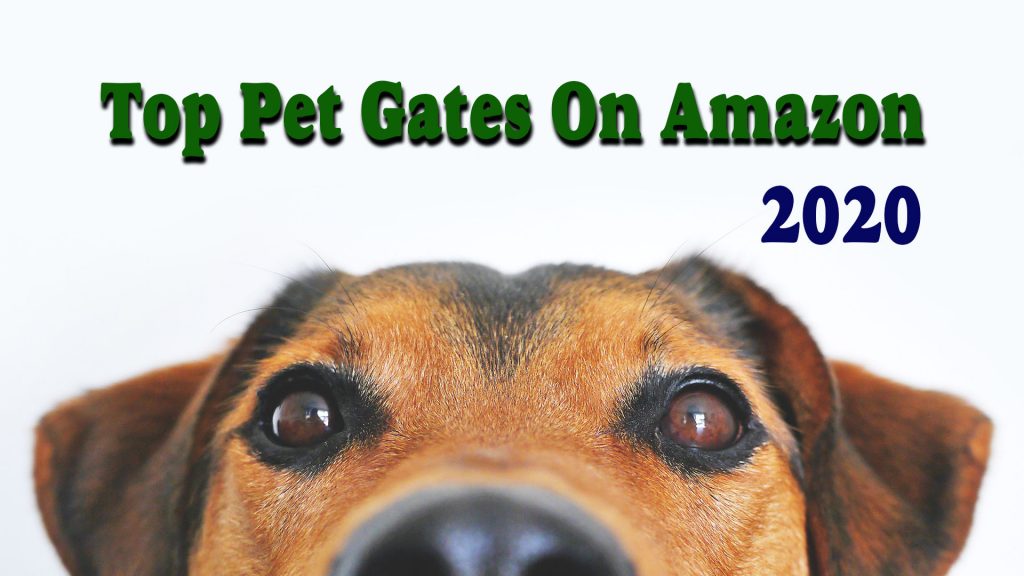 Top 5 Brands Of Pet Gates On Amazon in 2020